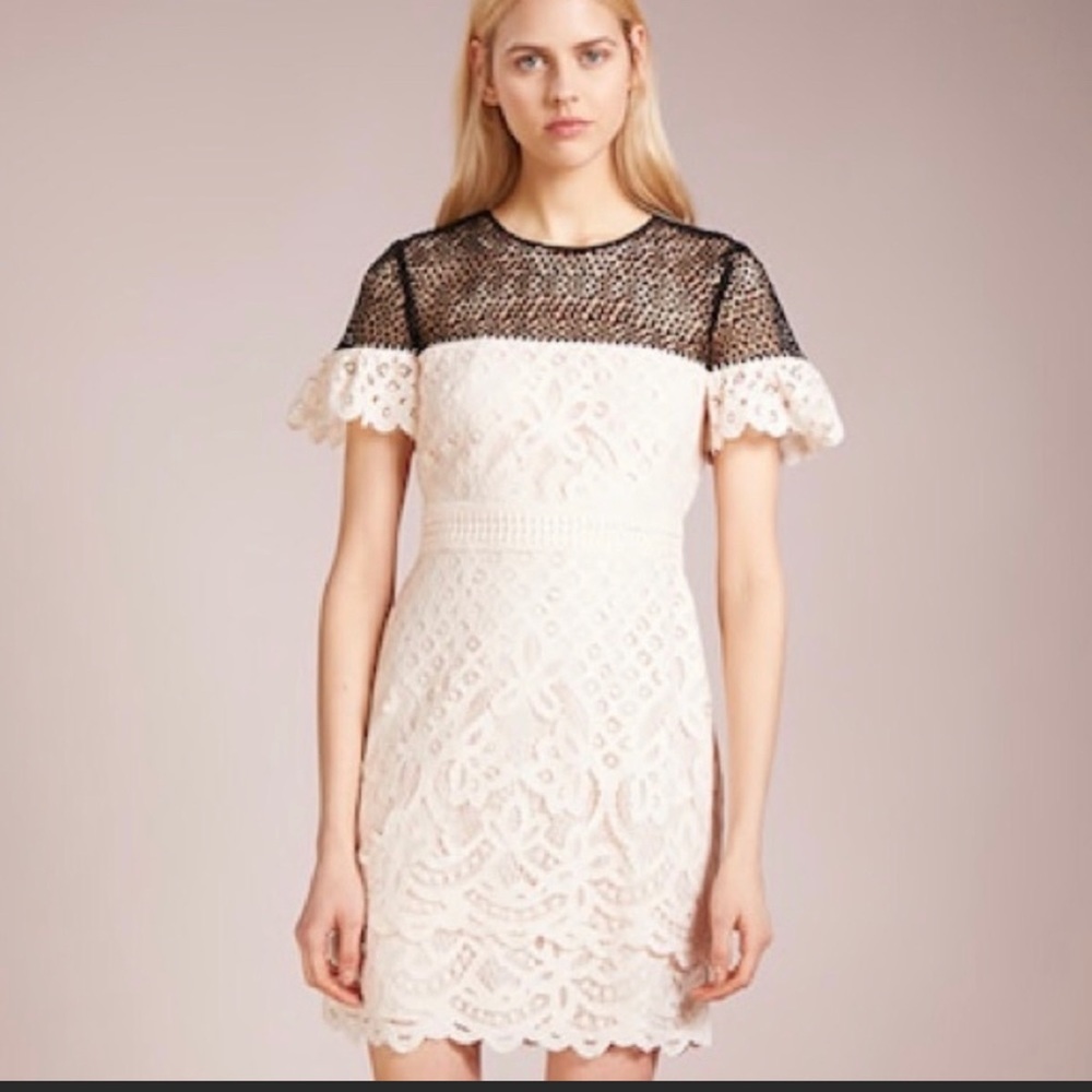 Club Monaco lace black & cream cocktail dress size 6 NWOT